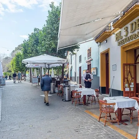 Alohamundi Santa María Sevilha