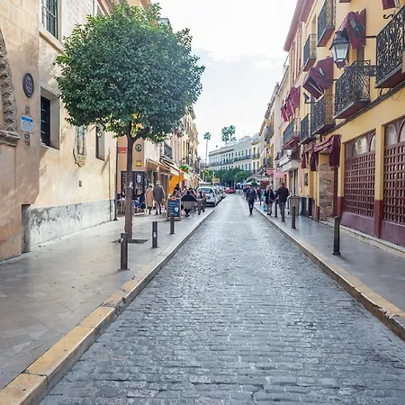 Alohamundi Santa María
