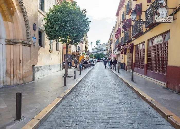 Alohamundi Santa María
